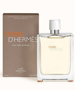Terre D'Hermes 100ML