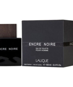 Encre Noire 100ML