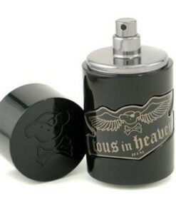 Tester Tous In Heaven Him 100ML
