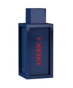 Tester Perry Ellis America 2019 100ml