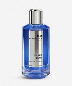 Tester Silver Blue 120ML